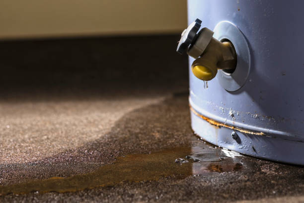 Best Flooded house restoration  in Port Byron, NY