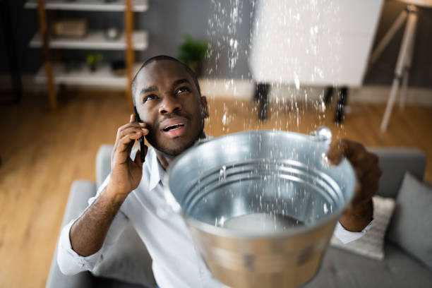 Best Mold removal after water damage  in Port Byron, NY