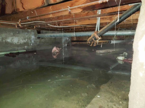 Best 24/7 water damage repair  in Port Byron, NY