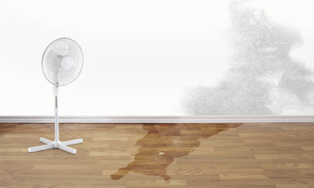 Best Local water damage restoration  in Port Byron, NY