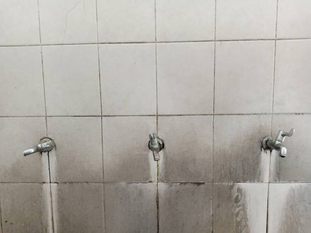 Best Ceiling water damage repair  in Port Byron, NY