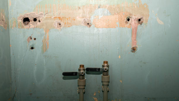 Best Carpet water damage restoration  in Port Byron, NY