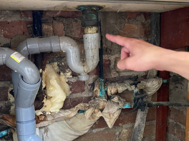 Water damage restoration mold remediation in NY
