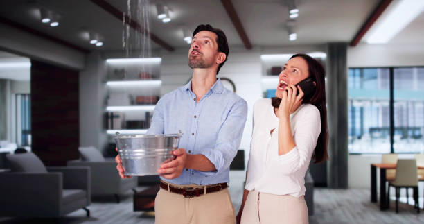 Best Sewage cleanup and water damage restoration  in Port Byron, NY